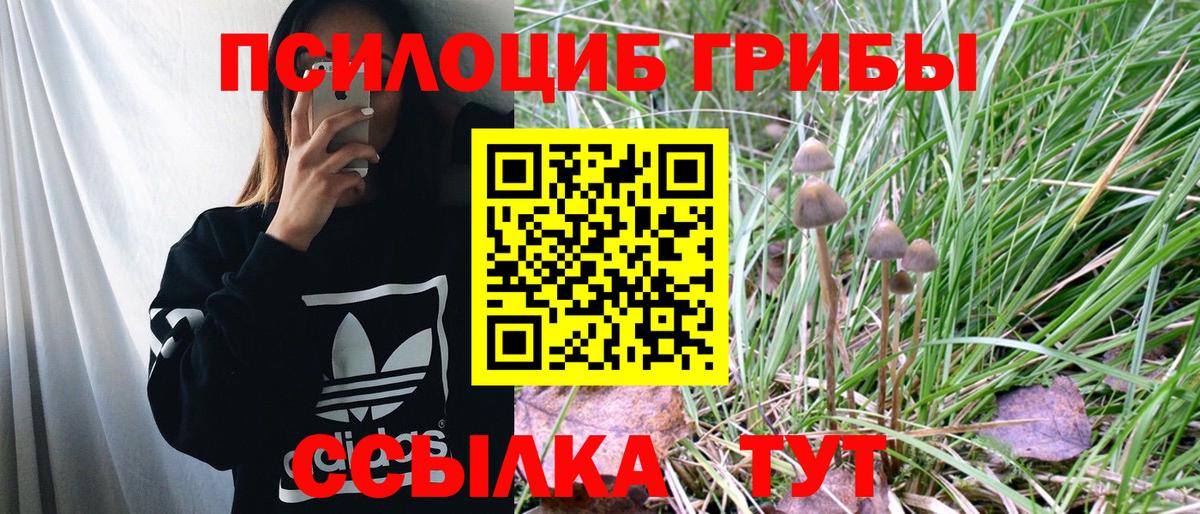 Кызыл  Галлюциногенные грибы прущие грибы  Галлюциногенные грибы Magic Shrooms  Вход с VPN 