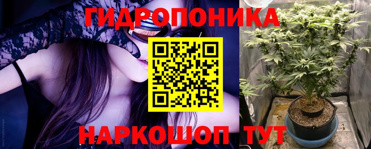 Шишки марихуана семена Кызыл